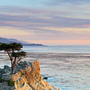 Monterey Peninsula, Lone Cypress Art Print