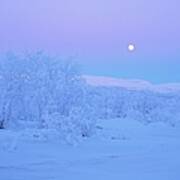 Moonlight Over A Winter Landscape Art Print