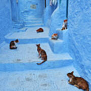 Morocco, Chefchaouen Town, The Blue Art Print