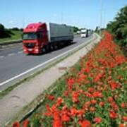 Motorway Traffic And Poppies Art Print