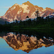 Mount Shuksan Alpineglow Art Print