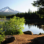 Mt Hood And Trillium Lake In Oregon Art Print