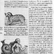 Mythical Creatures, 1675. Artist Art Print