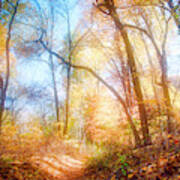 Narrow Path In A Forest, Autumn Art Print