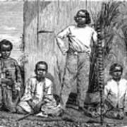 Natives Of The Island Of Reunion, C1890 Art Print