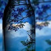 Nature Through Bottle Art Print
