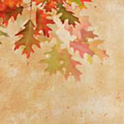 Oak Leaf Border Art Print