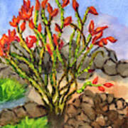 Ocotillo Art Print