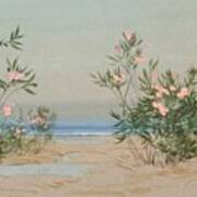 Oleanders Art Print