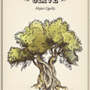 Olive Tree Art Print