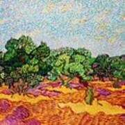Olive Trees 1889 By Vincent Van Gogh Art Print