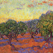 Olive Trees Orange Sky Art Print
