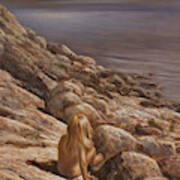 On The Rocks At The Lake Of Gog Art Print