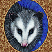 Opossum Portrait - Brown Border Art Print