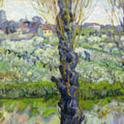Orchard In Blossom With View Of Arles Art Print
