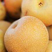 Organic Asian Pears From The Farmers Market Art Print