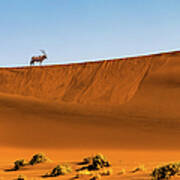 Oryx On The Dune, Namibia Art Print