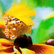 Painted Lady Butterfly Wildflower Art Print