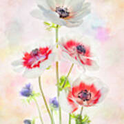 Painterly Anemone Art Print