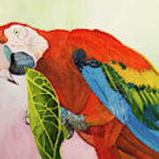 Parrot Lunch Art Print