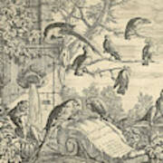 Parrots And Monkeys At A Garden Fountain Art Print