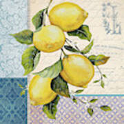 Patchwork Lemons A Art Print