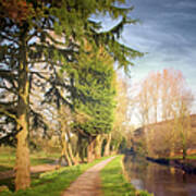 Path Besides Canal In Bute Park Art Print
