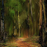 Path Into Fairy Forest #i6 Art Print