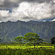 Peaceful Horse Range Setting On The Art Print