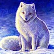 Peaceful Winter Arctic Fox Art Print