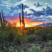 Tucson, Arizona Saguaro Sunset Art Print