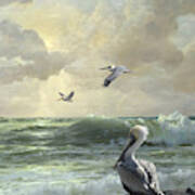 Pelicans In The Surf Art Print