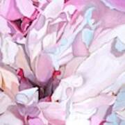 Peony Blossom Oil Painting Art Print