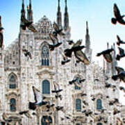 Pigeons In Flight Against Duomo Art Print