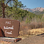 Pike National Forest Art Print