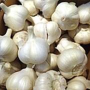Pile Of Garlic Art Print