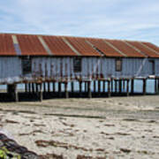 Pilings And Rusty Roof Art Print