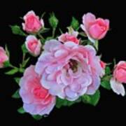 Pink Garden Roses 4 Art Print