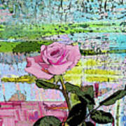 Pink Rose 1018 Art Print