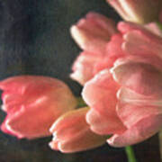 Pink Tulip Bouquet Art Print