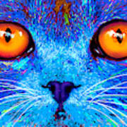 Popcat Boe - Big Orange Eyes Art Print
