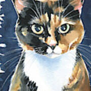 Poppy Calico Cat Painting Art Print