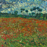 Poppy Field, 1890. Artist Gogh Art Print