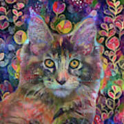 Poppy The Maine Coon Cat In The Garden Art Print
