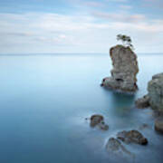 Pine Tree Rock In Portofino Art Print