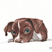 Portrait Of A Chihuahua Puppy In Watercolor Art Print