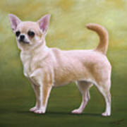 Portrait Of A Chihuahua Art Print