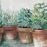 Pots Of Herbs Ii Cottage V2 Art Print
