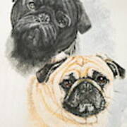 Pug Brothers In Watercolor Art Print