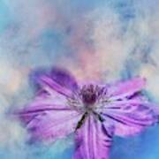 Purple Clematis Art Print